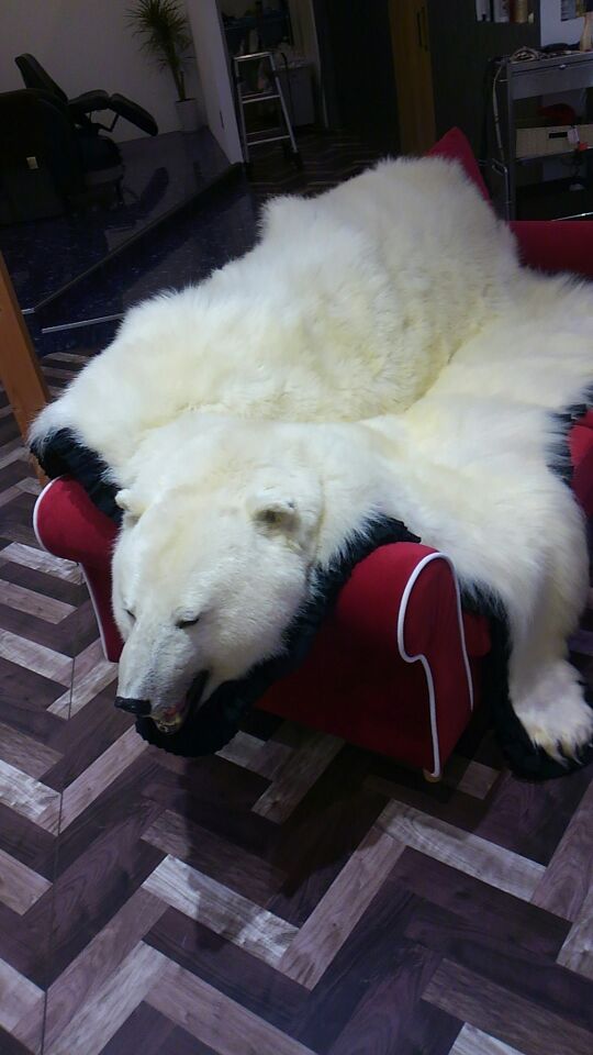 本日の予約状況!