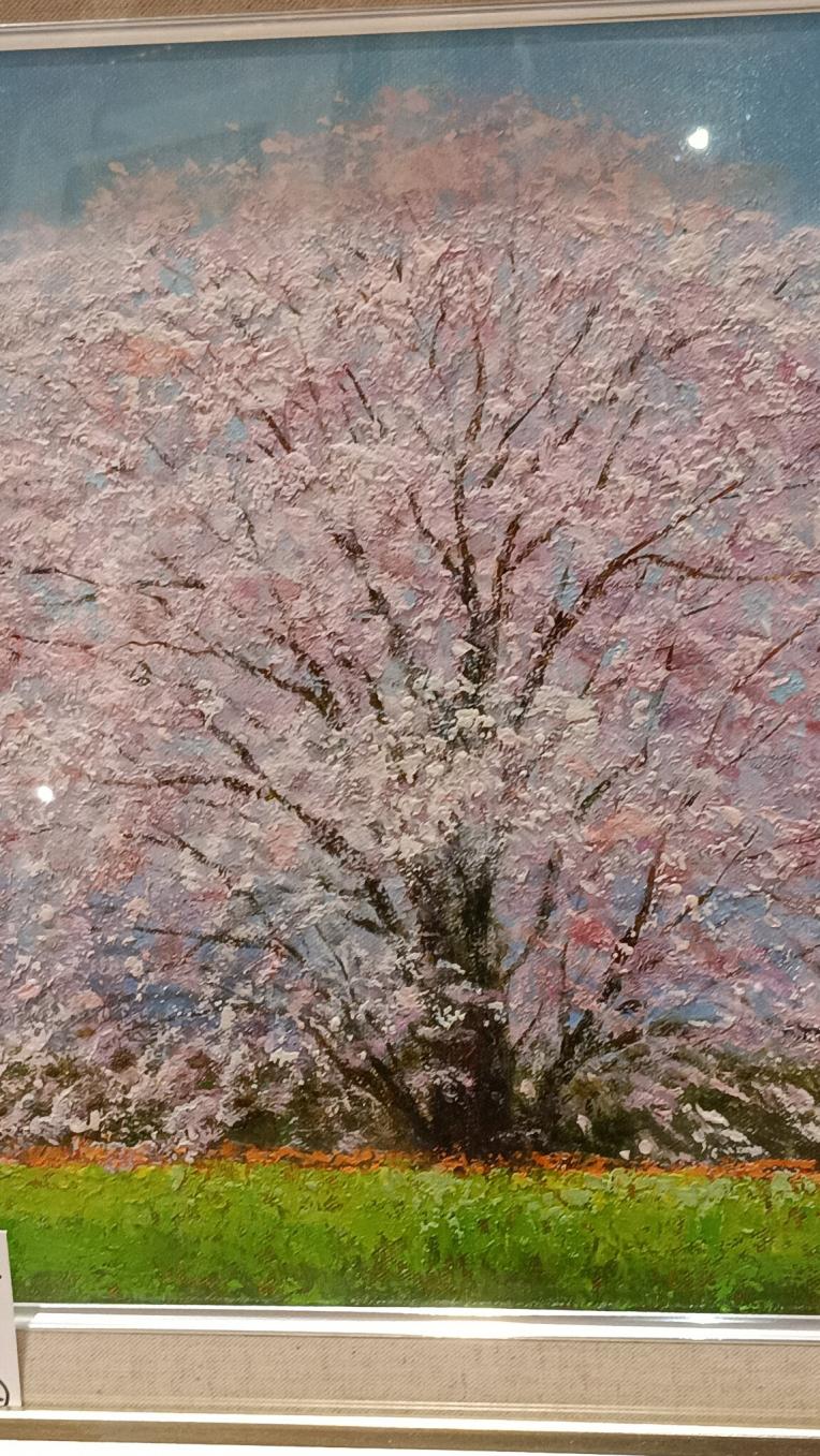 日本の桜　油絵　割引きセール！　空間でお花見会！はいかがですか？
