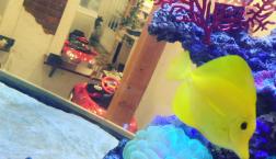 ちゃんと1ヶ月！