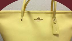 NO５ ピエリ限定❗️今日だけのイチ押し‼️