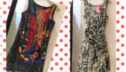 NO １１ ピエリ店、今日のイチ押し‼️