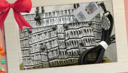 NO １４ ピエリ 今日のイチ押し‼️