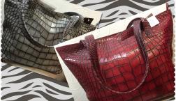 NO16 ピエリ店 今日のイチ押し‼️ 特別価格￥138,000➕税