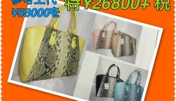 NO１８ピエリ店 今日のイチ押し‼️