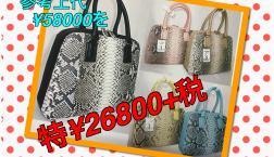 NO１９ピエリ店 今日のイチ押し‼️