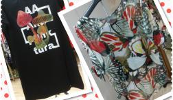 NO２９ピエリ店 今日のイチ押し‼️  インポート夏の最終便