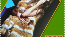 NO３．Ｆ＆Ｗ ZUCCHINA COLLECTION