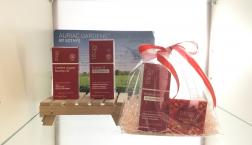 Palette  ピエリ店