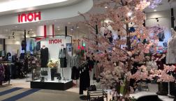 vol 62”決算スペシャル  春のフォーマルも‼️