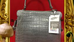 vol 62 決算スペシャル‼️本日限り！