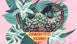 COACH  BAG 現品限り特価‼️