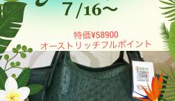 オーストリッチフルポイントのバックが‼️