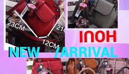 ちょぴり小型の個性派BAG