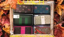 COACH　WALLET　特￥13000から　10/29まで