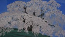 花粉症対策！自宅で「お花見」「海水浴」☆桜・海☆絵画販売！