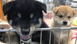 いつも仲良く遊んでます✨