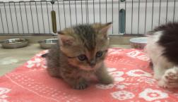 すご〜く短足です‼️