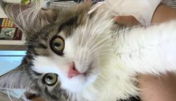 当店1番のイケニャン