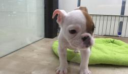 私可愛いでしょ❓