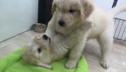 どっちがどっち⁉️