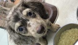 抱っこしに来て〜♡♡