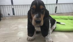 体も心もマイペース