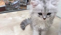 おっとりさん⭐︎