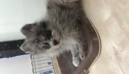 ちょっぴりヤンチャな女の子♪