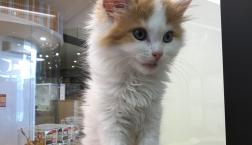 甘えん坊さん♡