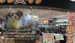 リニューアルオープン❗️