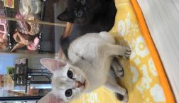 小さな妖精さん♪