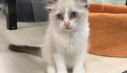 大きなぬいぐるみちゃん♫