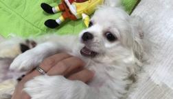 ペキチーちゃん♡