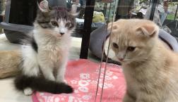 仲良しコンビ♡