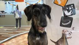 イケメンボーイ♡