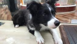 ツンデレなボク♡