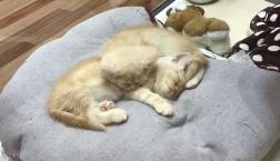 仲良し兄弟⭐︎