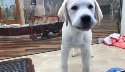 おーーーーっとりラブくん♡