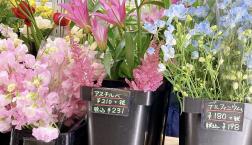 切花入荷しました♫