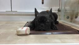 おトイレが落ち着くオトコ