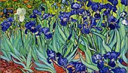 3/30　ゴッホ生誕祝！1853年3月30日　定価から版画50％ＯFF！