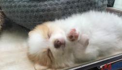 寝顔シリーズ♡