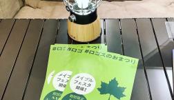 めっちゃお得なメイプルフェスタ開催決定！！