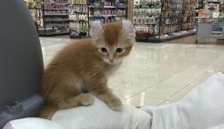 本日デビュー‼︎