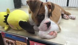 ちょっちゅねーーーーー