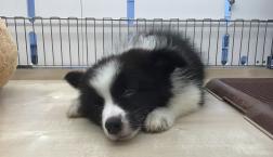 シロクロなお嬢❤️