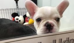 ぷにぷに族の姫❤️