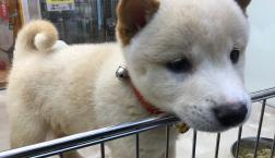 おぬしーーかわいか❤️