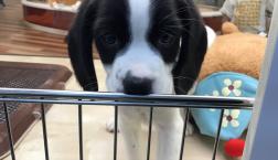 まつ毛がシロクロ