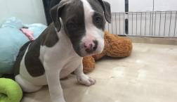 スタッフィー♡